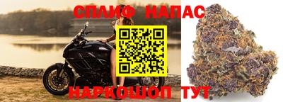 крисы Малоярославец